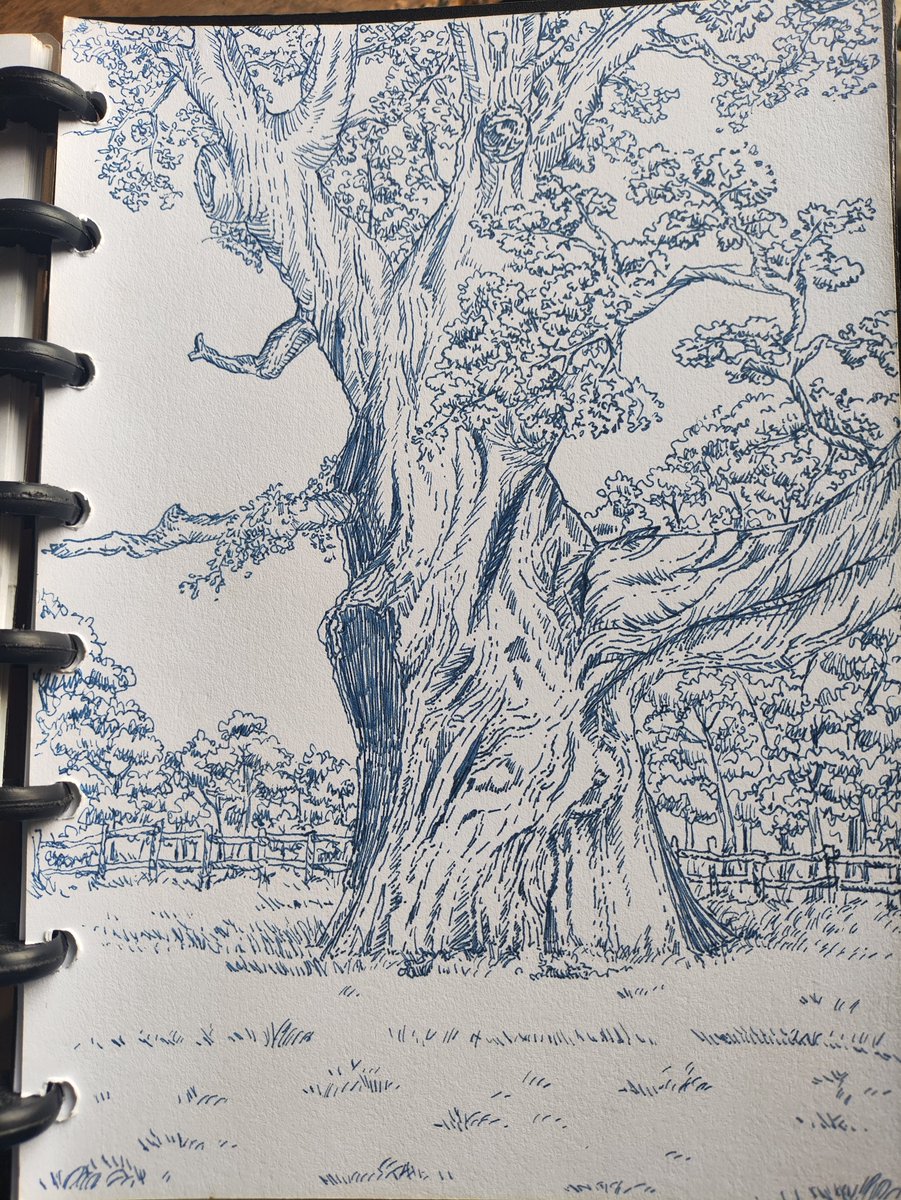 forestn_illust's tweet photo. Progress??? https://t.co/N7StZ3GtS1