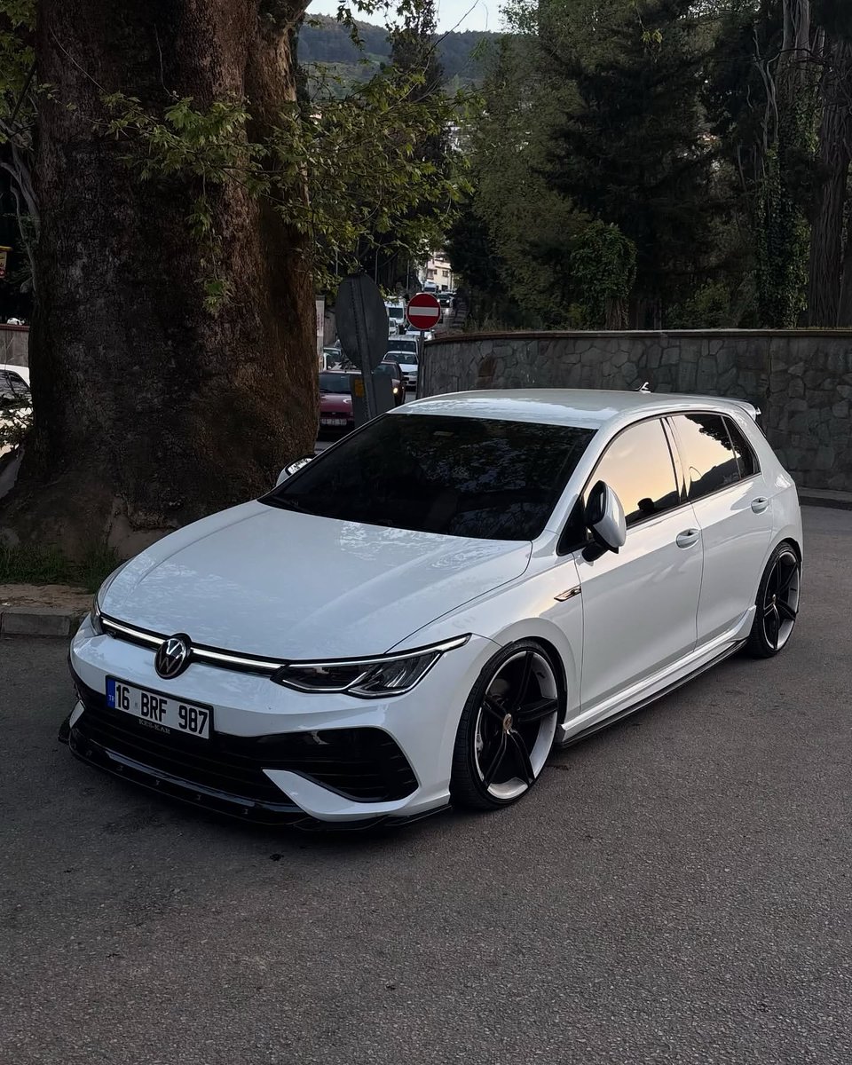 TinyWhiskersX's tweet photo. CLEAN LOOKING 🤤😍 https://t.co/G5hem4hM5k