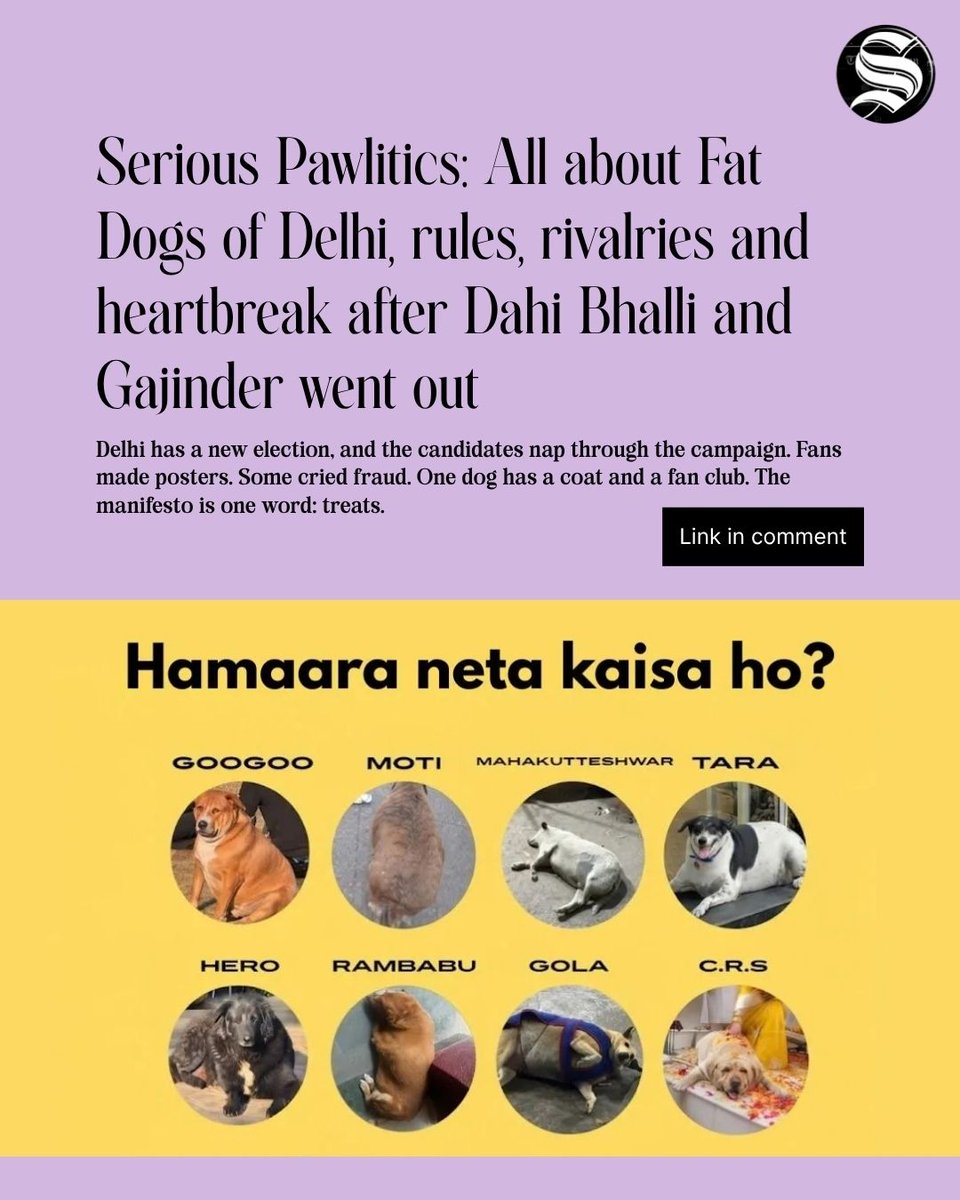 TheStatesmanLtd's tweet photo. An Instagram page called Fat Dogs of Delhi (@fatdogsofdelhi ) started a Fat Dog Competition. The page celebrates the chonkiest dogs in the city. The contest went viral fast. Now there are pages called Fat Dogs of Mumbai, Fat Dogs of Bangalore and Fat Dogs of Chandigarh. 

#SeriousPawlitics #DelhiDogs #TheStatesman 

[Serious Pawlitics] [Delhi Dogs] [Dahi Bhalli and Gajinder]