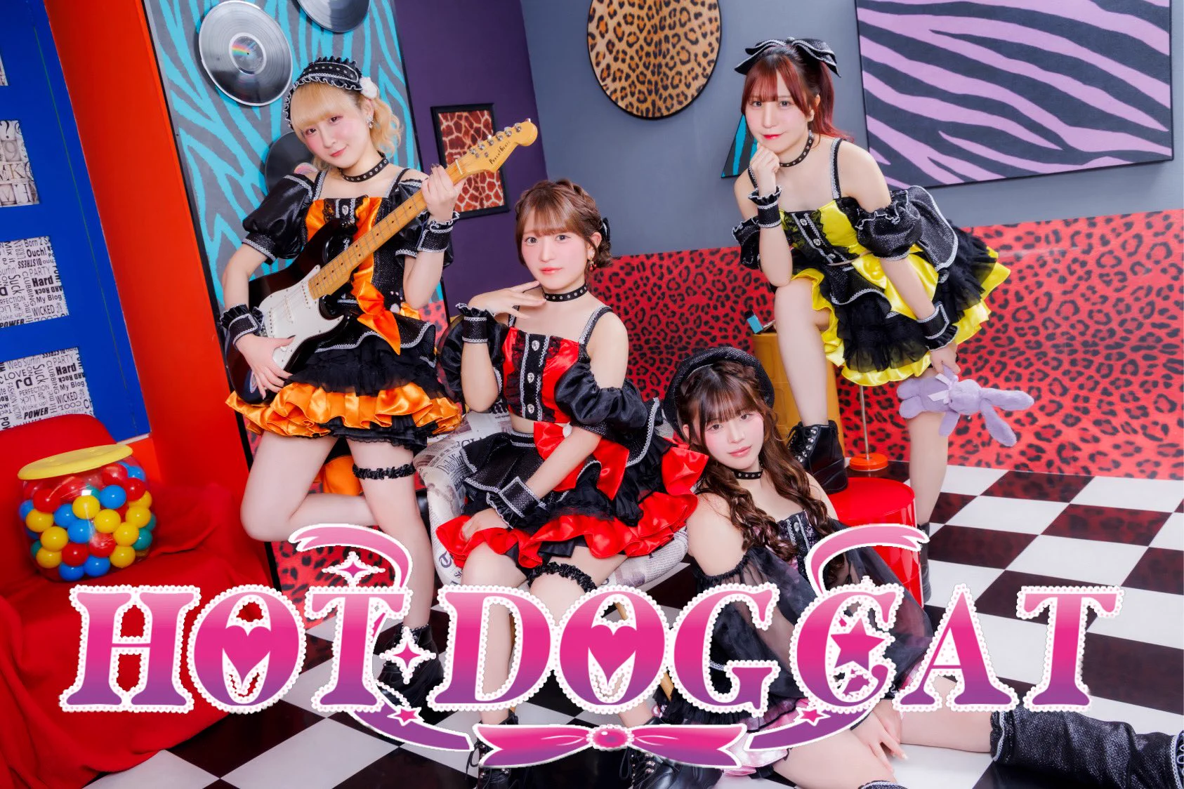 HOT DOG CAT【公式】 on X: 
