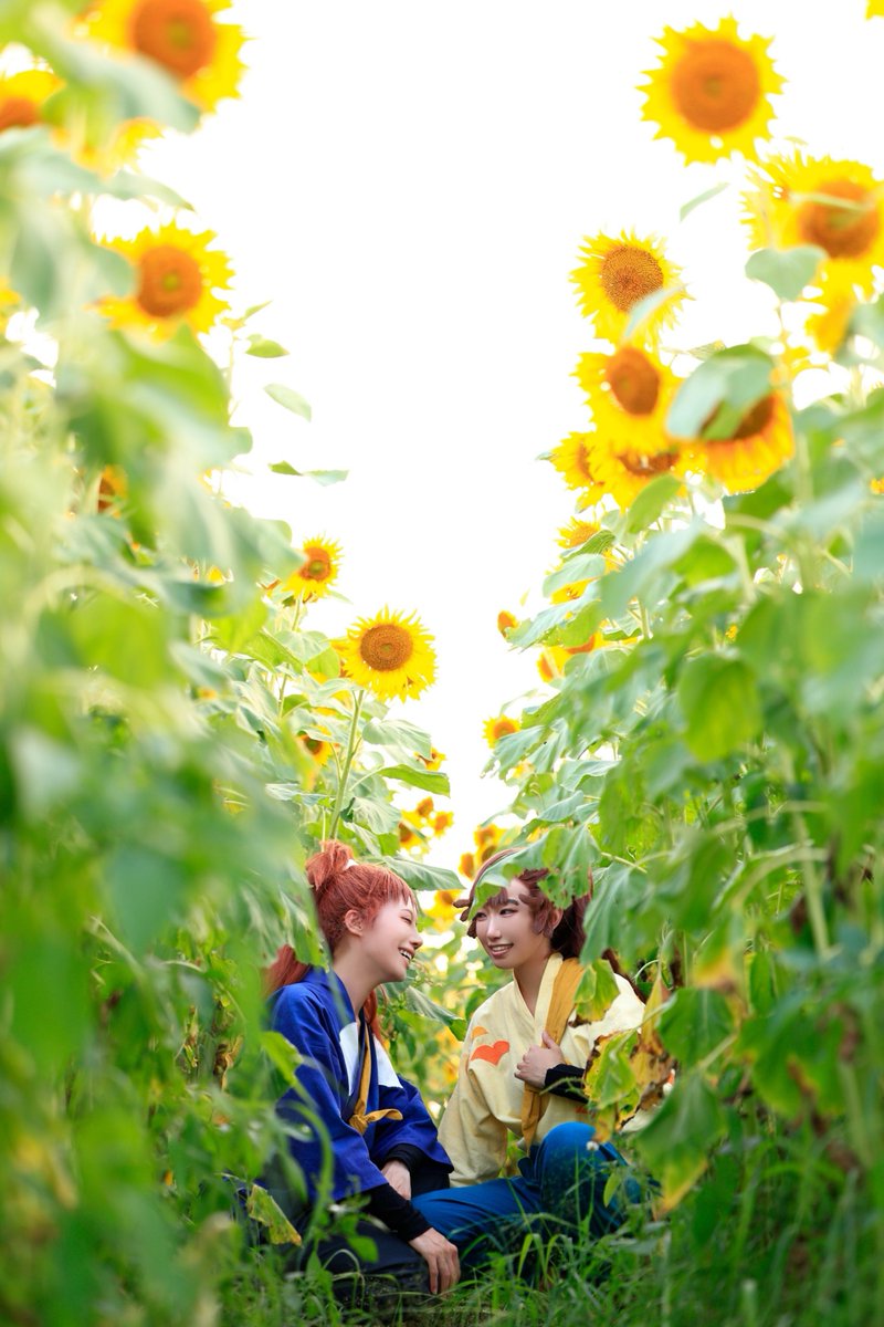 ppero_nn's tweet photo. cosplay 
忍たま~学級組~

ひまわり畑の中で🌻*.

＿
尾浜：ふいり  鉢屋：りほほ
📸ととろｻﾝ (@oototoro_3) https://t.co/Hmnf8HYVmm