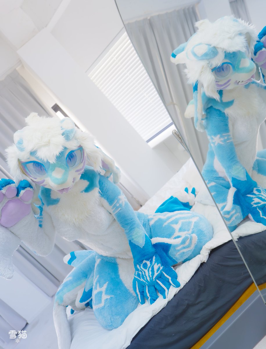 BlazeMir_'s tweet photo. #ケモノをみて今週もがんばりマンデー #シャル観測記録 

観測者～かわいいシャルが二匹だ～どっちが本物の私なの？🥰🦈🥰 https://t.co/6kuJTbI2qi