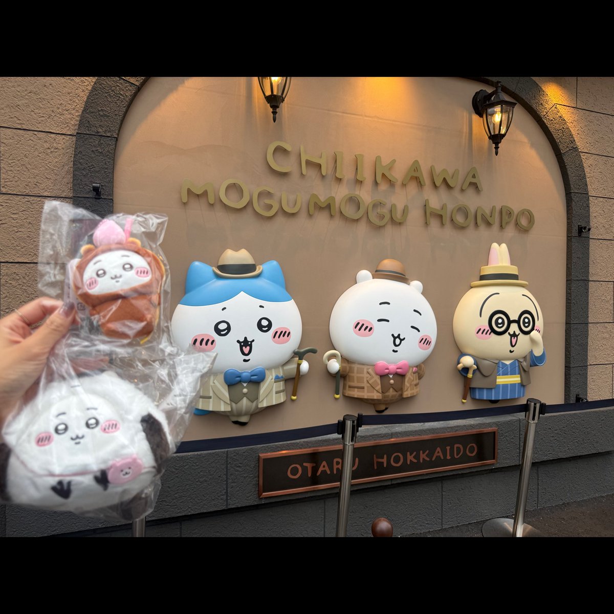 imoimo_kooo's tweet photo. ちいかわーーー https://t.co/mvjpDDkgUt