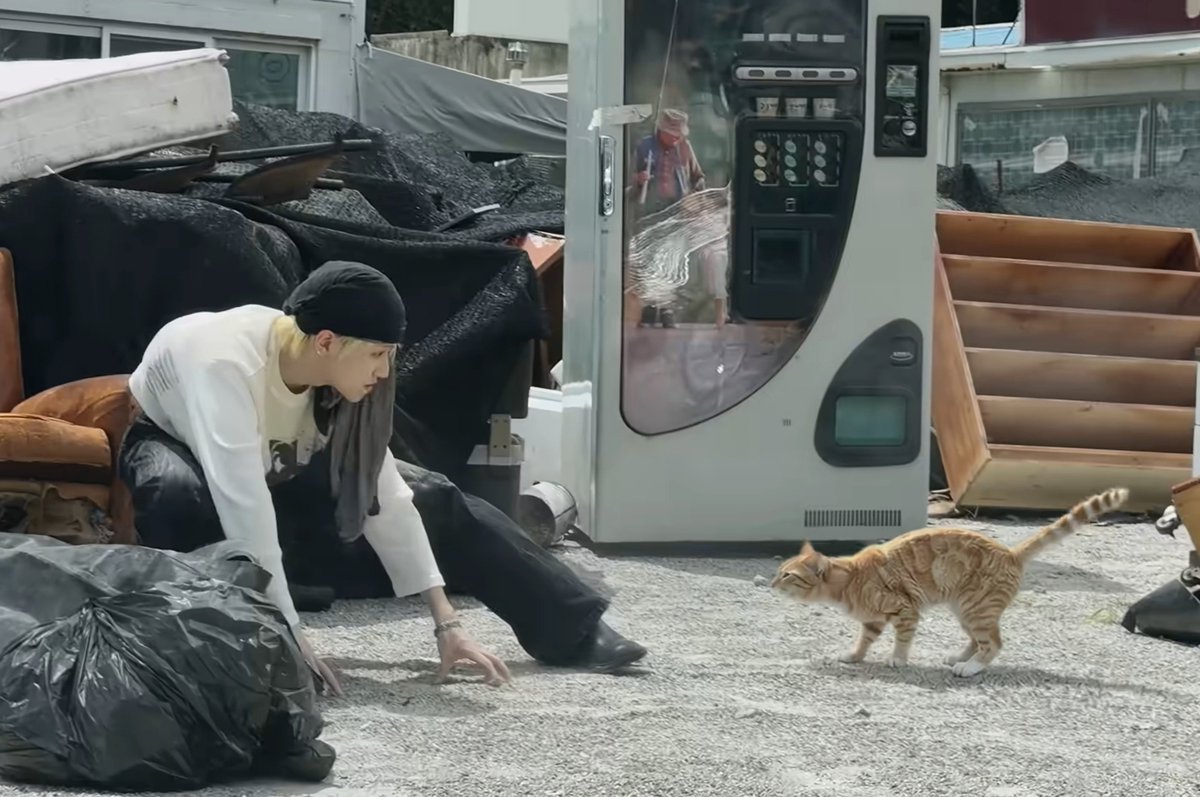 St_Oo4r's tweet photo. 누가 이길까?ㅋㅋㅋ https://t.co/JLR3oB33Ew