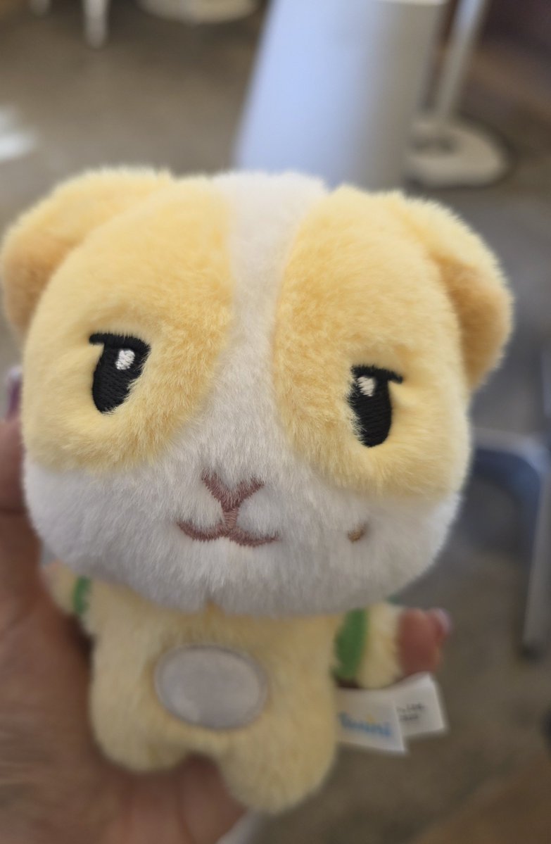 sin_l5ve's tweet photo. @lovertws 처음이랑 많이 변했죠 ?! ㅋ ㅋ ㅋ ㅋ ㅋ ㅋ ㅋ ㅋ https://t.co/0DglmiYMNw