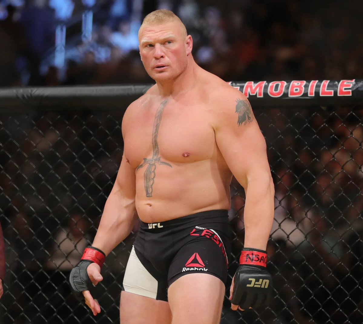 f_jxr_'s tweet photo. who would you last 5 minutes with?

Prime Brock Lesnar or Miss B Nasty https://t.co/tN0jxYMHGh