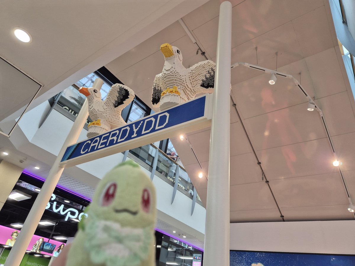 rebehime's tweet photo. More Cardiff photos from the Wales trip! #chikorita #チコリータ #ポケぬい https://t.co/Pfoii1yVC4
