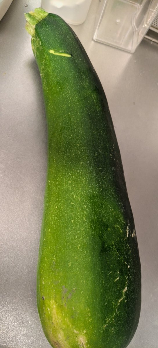KameraLied's tweet photo. 巨大ズッキーニ
どう料理しようかな https://t.co/hrQJTrXDBU
