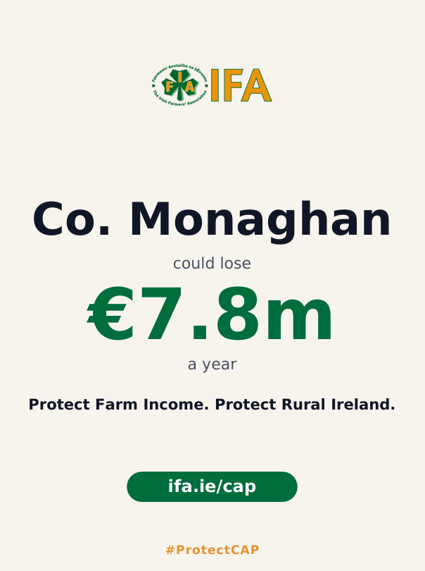 IFAmedia's tweet photo. Monaghan could lose up to €7.8 million a year.
IFA is campaigning for an increased CAP budget to protect farmers, farming families and rural communities across Ireland.
Here’s what’s at stake for Co. Monaghan.
#ProtectCap https://t.co/dN6hUhRsjr
