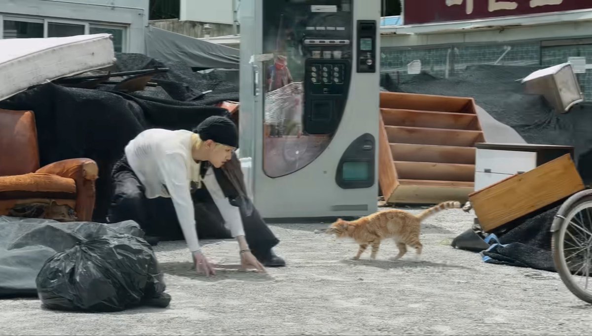 jusRTikeTT's tweet photo. 링냥이 ㅇㅈ https://t.co/1Fq8rk5hvr