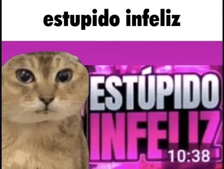 Una_SimpleReimu's tweet photo. Estupido infeliz https://t.co/3InajDvbL2