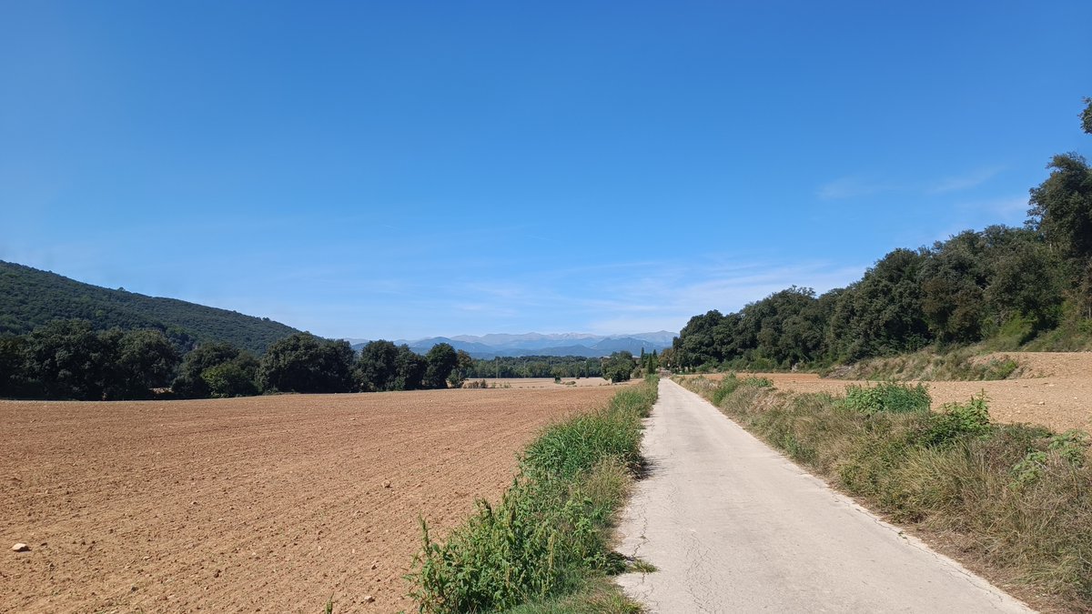 totipm's tweet photo. Bon dia des de Besalú🧐
La vida obrint-se camí. 21/09/26. Avui😃
#ElTemps3Cat @TomasMolinaB @elnacionalcat @enricagud @gemmapuigf @mauri_francesc @AlfredRPico @eloicordomi @jjanue @tempsdemeteo @P4Estacions @jacobpetrus_tve @ElTiempo_tve #meteo https://t.co/NIRp9RYnNm 🤔 https://t.co/IgVUDKDyK5