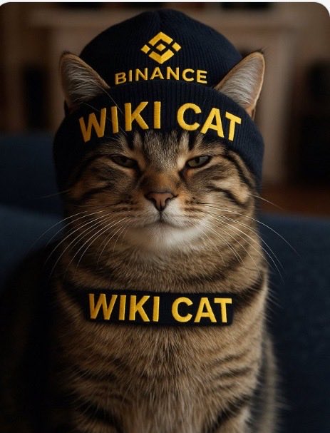 Kingswitch69's tweet photo. New week wiki-cat:native Army🔥

If you believe in wiki-cat:native, this is the time to be focused, keep building your position, and invite friends. The bigger opportunity often comes from adoption + utility + community growth, not hype alone.
 #WKC is the bullrun!
 #CryptoGem https://t.co/sIVV5swwaH
