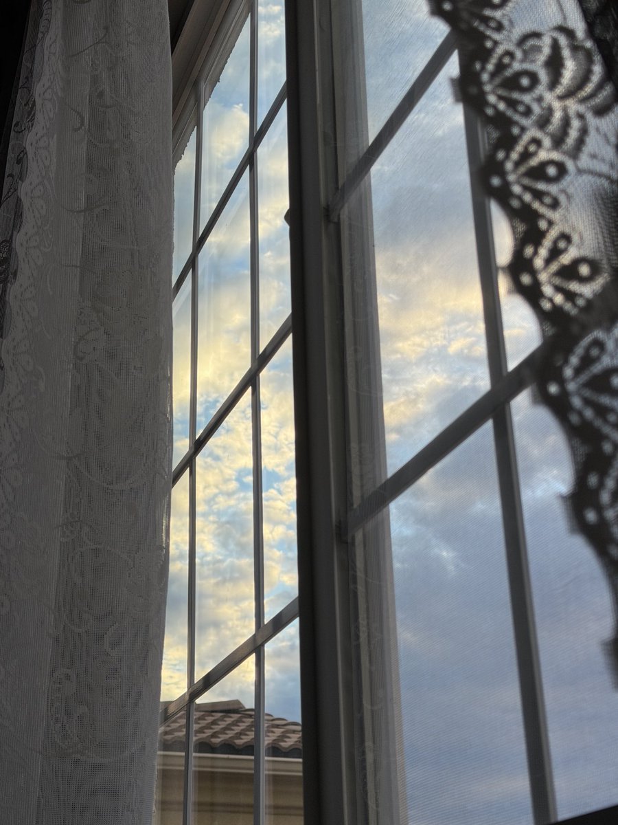 Rheianna_'s tweet photo. Waking up and being greeted by so much beauty is one of the best feelings in the world. https://t.co/8RjxaOQkXb