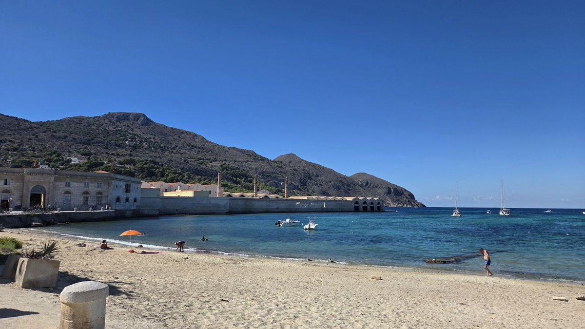 ECDOorg's tweet photo. What an extraordinary #ECDO2026 in Favignana! 🇮🇹

From the scientific sessions to the unforgettable evening events, every aspect of this meeting made it a truly special experience.

Huge thanks to G. Melino, M. Piacentini &amp; G. Stassi https://t.co/dJyiZNe2zk