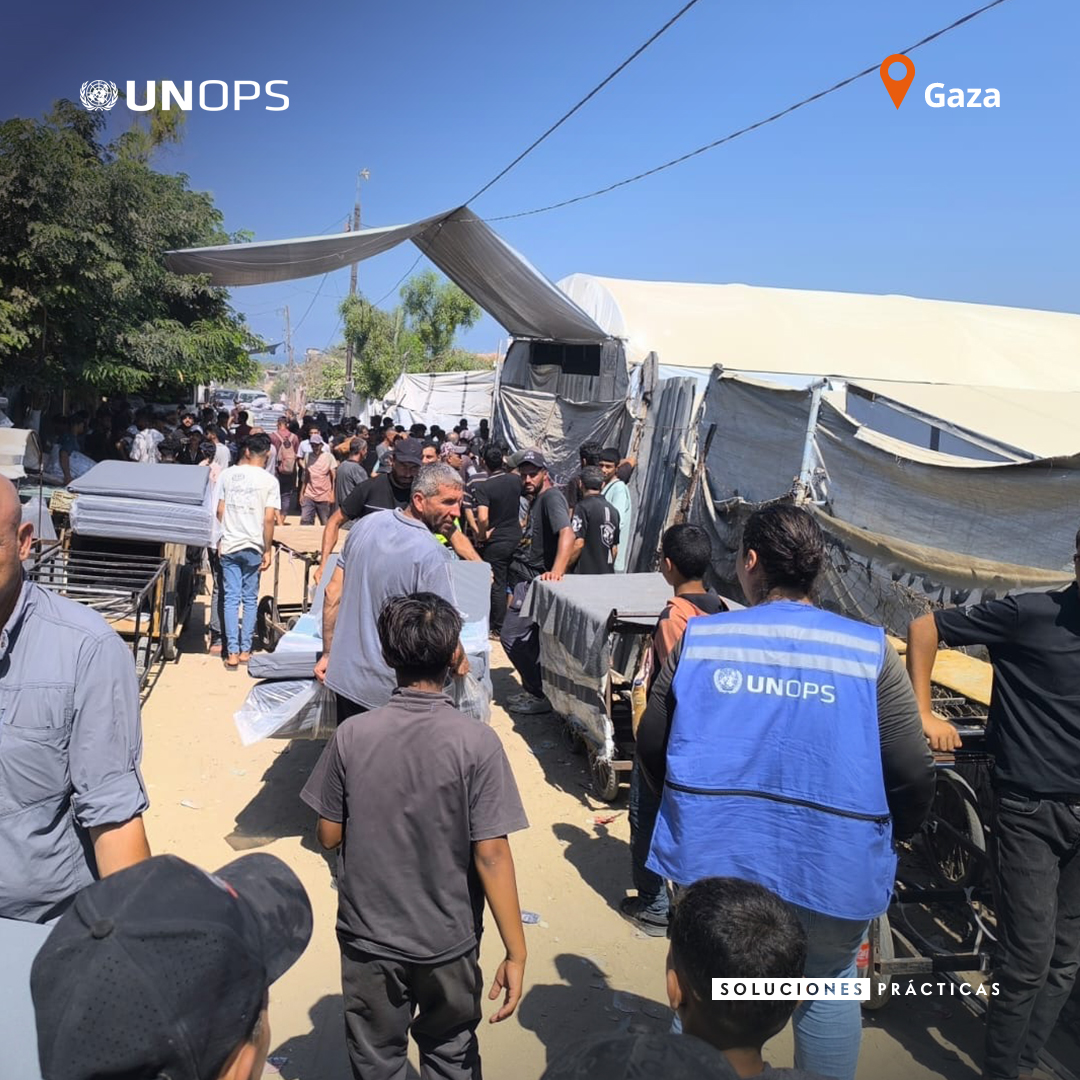 UNOPS_es's tweet photo. ¿Qué hace falta realmente para que la ayuda llegue a #Gaza?

3⃣ observadores de la ONU nos llevan entre bastidores de las complejas operaciones humanitarias que se llevan a cabo en Jordania, Chipre y Gaza a través del mecanismo 2720 de la ONU.

👉 https://t.co/Kq2fbKukBJ https://t.co/3TZAg2vx9p