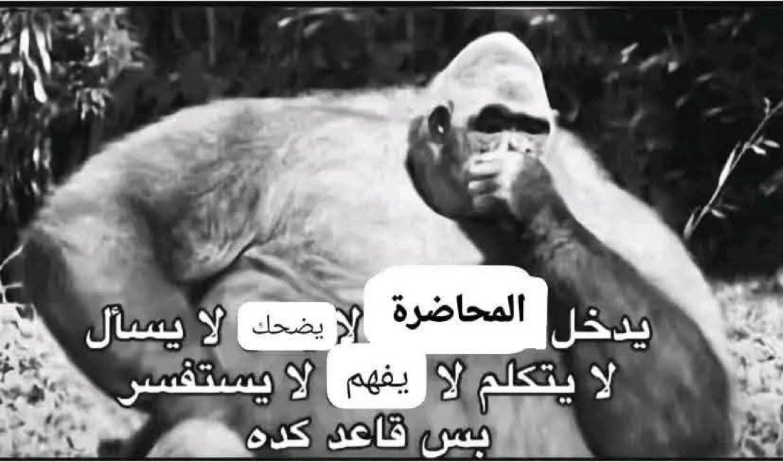 DrFilfilan's tweet photo. مداوم وانت مراكم المنهج https://t.co/Tt3qbgZcES