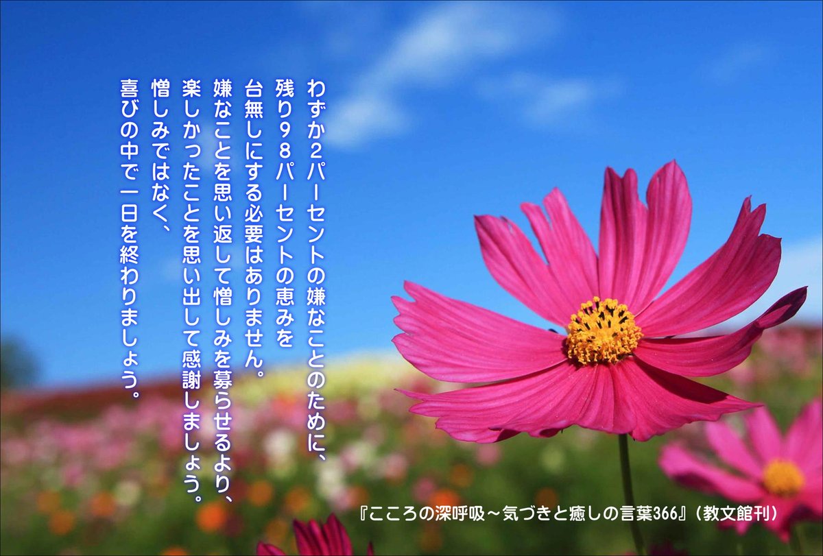 hiroshisj's tweet photo. わずか2パーセントの嫌なことのために、
残り98パーセントの恵みを
台無しにする必要はありません。
嫌なことを思い返して憎しみを募らせるより、
楽しかったことを思い出して感謝しましょう。
憎しみではなく、
喜びの中で1日を終わりましょう。

『こころの深呼吸～気づきと癒しの言葉366』(教文館刊)
◆Amazon 
https://t.co/XZ6cevLTnB
◆教文館 
https://t.co/xKeD55GKX1