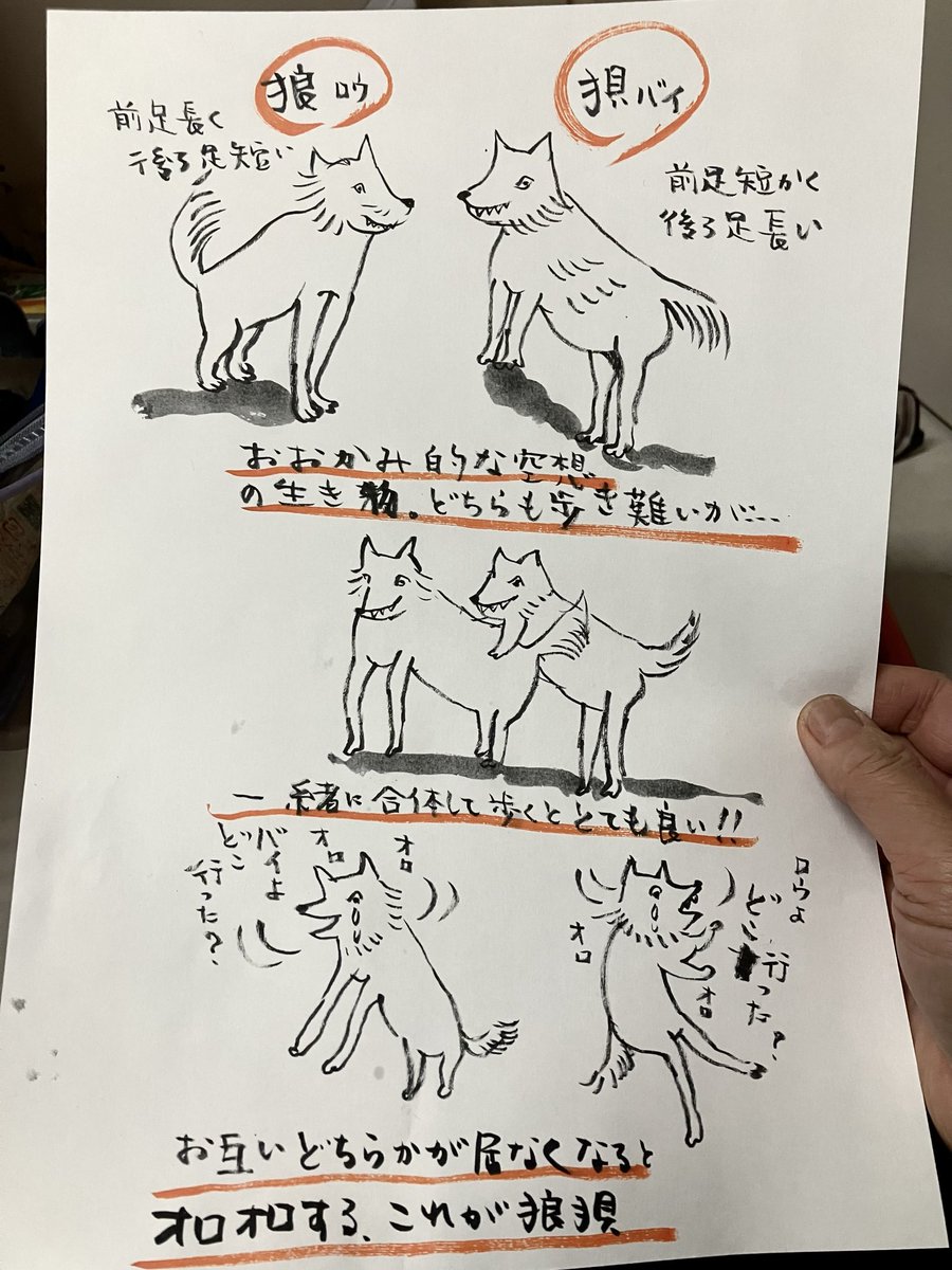 Hiromi74Shira's tweet photo. 狼狽えるの狼狽（狼狽）っていったい何？
と言う長年の疑問を調べたらかわいい中国の故事が… https://t.co/HGURtzpLu0