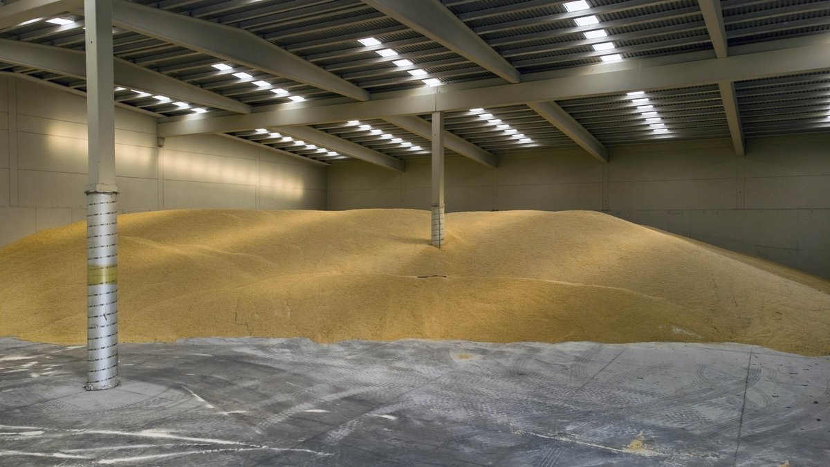 LSevitrade's tweet photo. Finalizada la campaña de cereal en la provincia de Sevilla, la actividad continúa.

Durante estas semanas, buena parte de las existencias almacenadas en nuestras instalaciones de la Terminal Portuaria Esclusa comienza a comercializarse y salir hacia sus diferentes destinos. https://t.co/Oa2E2lksaD