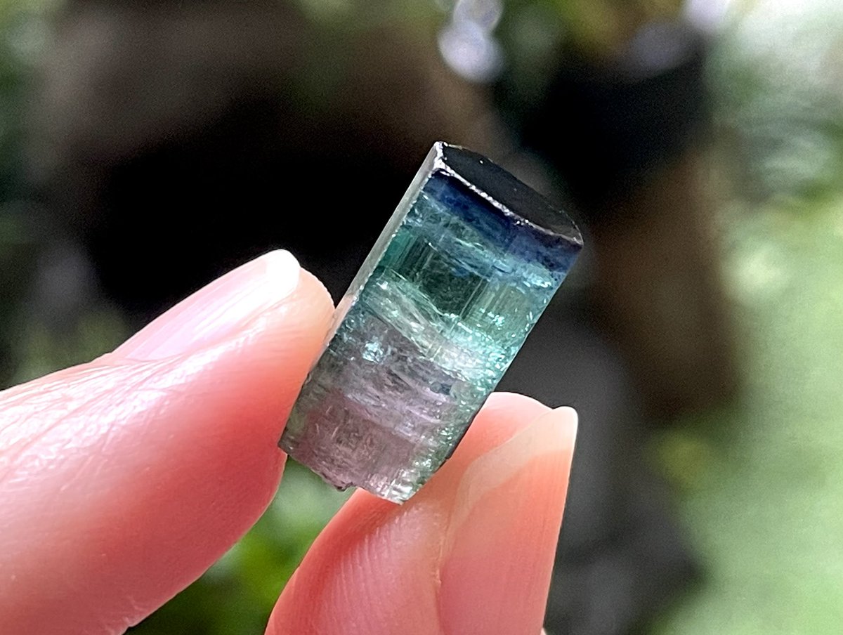 tomtourmaline's tweet photo. 現在Holdいただいてるコ以外でもう一つ、
こちらのSapoも今後放出予定です。（Sapo放出ラスト品）気になる方いらっしゃいましたらDM下さい🤗 https://t.co/bICVMX3OPY
