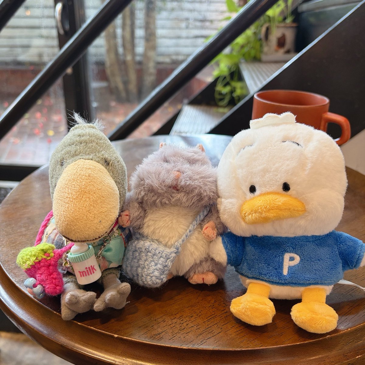 uusagi_11's tweet photo. しょんぼりペックルとお出かけ☕️ https://t.co/tGfBYEFsU0