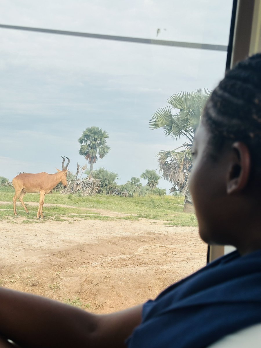 MarinaAmpurire's tweet photo. With all these free open parks days and you haven’t visited any national park?

What is stopping you from visiting one?
#expoloreuganda
@UWA https://t.co/Ukg4YJpbA0