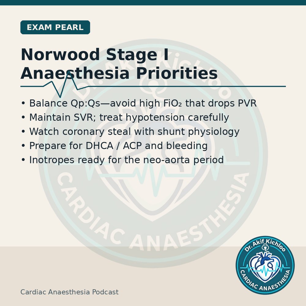akifkichloo's tweet photo. Congenital &amp; Aorta
Norwood Stage I, Glenn physiology, arterial switch, ME ascending aorta SAX.
Cardiac Anaesthesia Podcast
#CardiacAnaesthesia #CardiacAnaesthesiaPodcast #MedEd #CardiacOR https://t.co/JCfKFXR61L