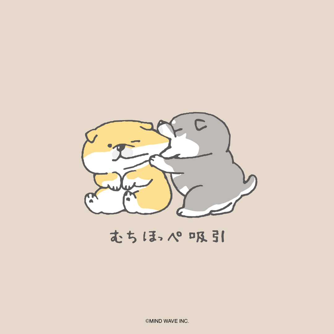 shibanban_mw's tweet photo. ずおおおおおおお

#しばんばん #柴犬 https://t.co/SO4OKQSFoE