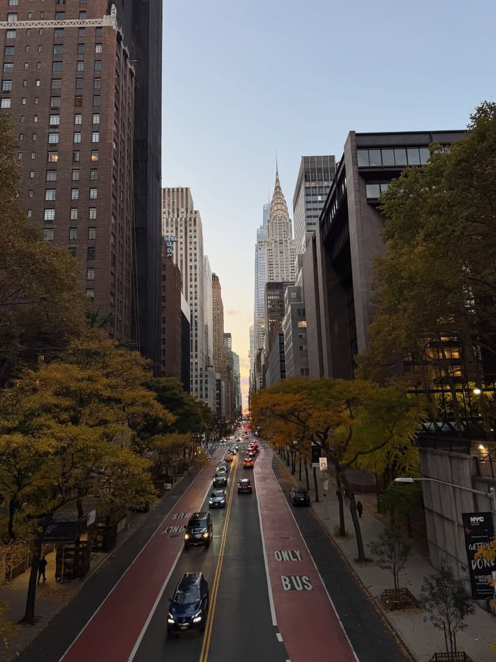 Business660608's tweet photo. Autumn in New York 🍁🍂 https://t.co/zGTS1rbOJF