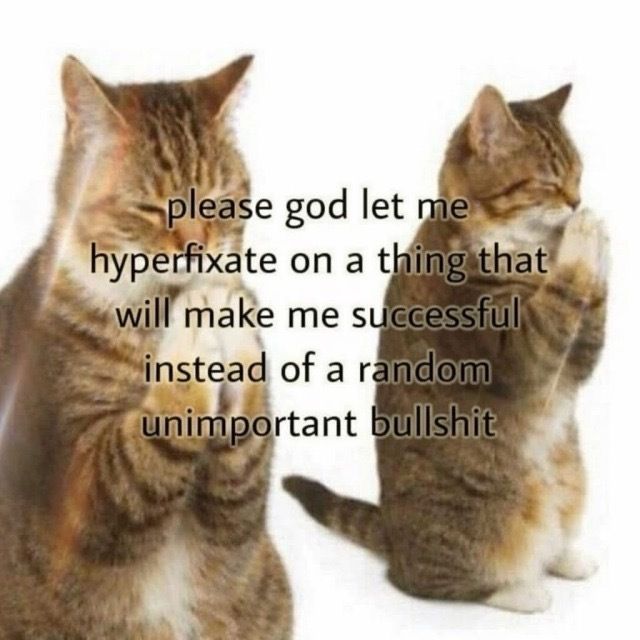 equine__dentist's tweet photo. https://t.co/U8jt1lKzPL