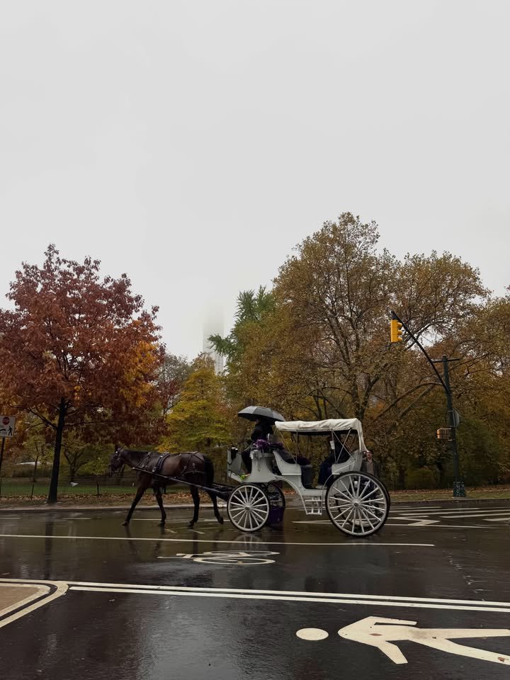 Business660608's tweet photo. Autumn in New York 🍁🍂 https://t.co/zGTS1rbOJF