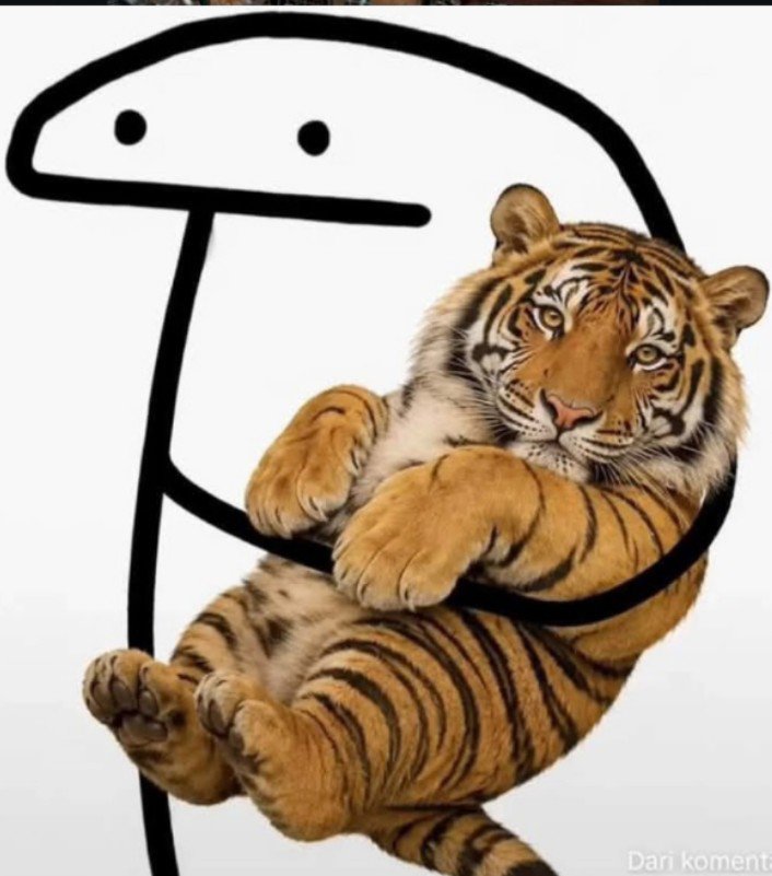 Tigerincrisis's tweet photo. @kingincrisis Hello Kittyyyy!!!! https://t.co/ThaVy15Vb4