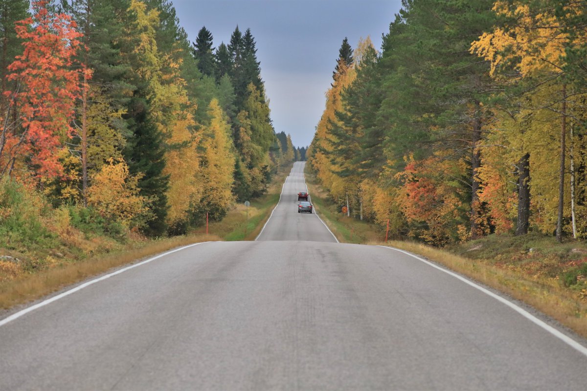 PHatunen's tweet photo. Ruskan väriä 2019 Vaalassa.
#autumn #septemper #Finland
#fall https://t.co/YXhaFkDoKv