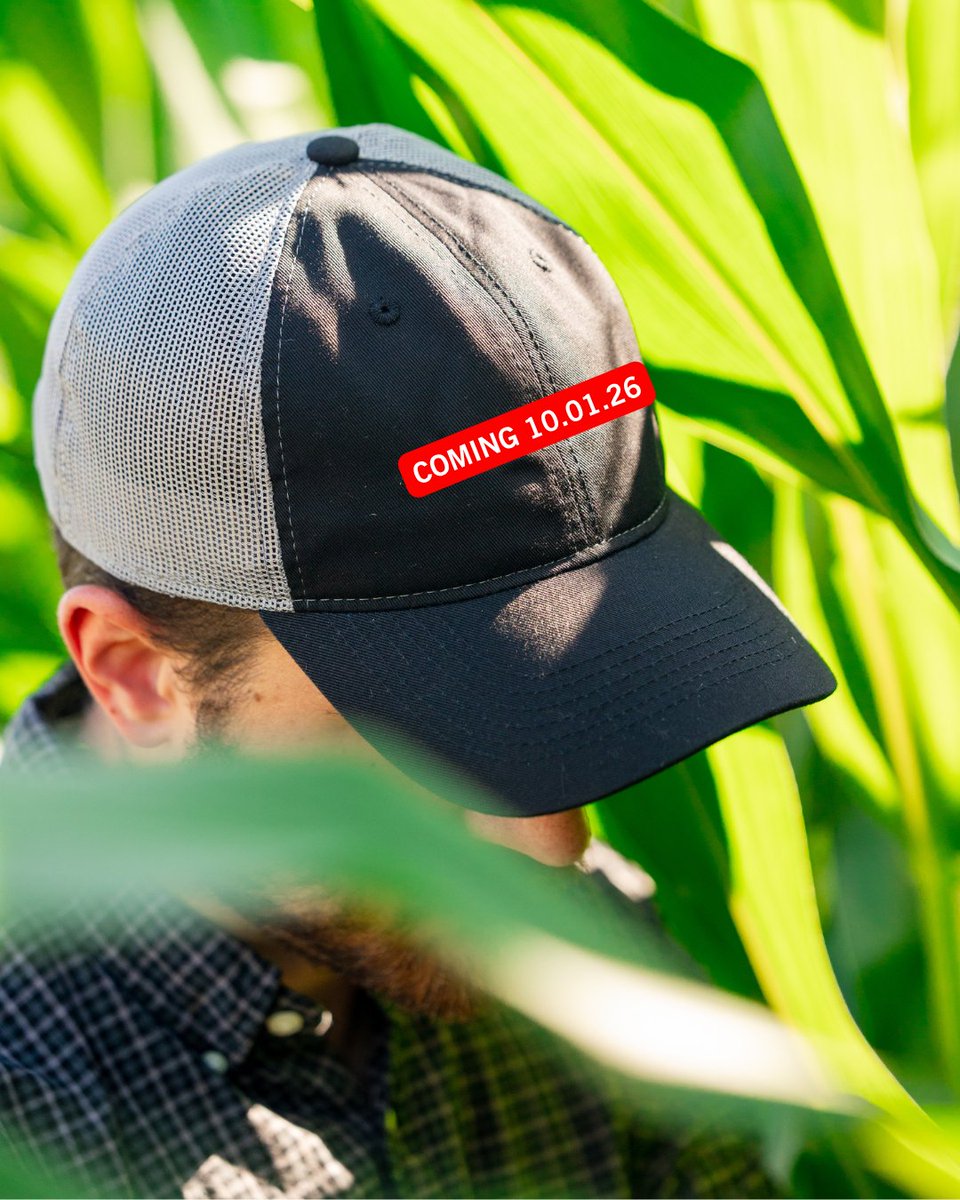 SumitomoBiostim's tweet photo. We’re keeping something under wraps…for now. 10.01.26

Can you guess what’s underneath?

#agriculture #biostimulants #biorational #biologicals #agtech #agribusiness https://t.co/jMbn2BqURI