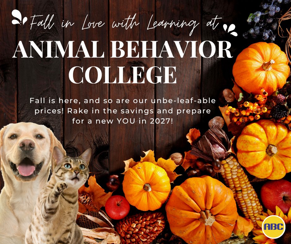 AnimalBehaviorC's tweet photo. Fall is here, and so are our unbe-leaf-able prices! 🍂 Turn your love of animals into a career this fall or start 2027 as a brand-new YOU 🐾

https://t.co/qqJto3be6h

#PetCareers #DogTrainer #FallVibes https://t.co/hmN0Z5HSnp
