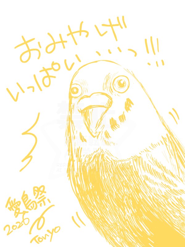 Tonyo_Tanaka's tweet photo. おみやげをお披露目しました。
めっっちゃ見てました。

#愛鳥祭 https://t.co/4d7qvMC9qH