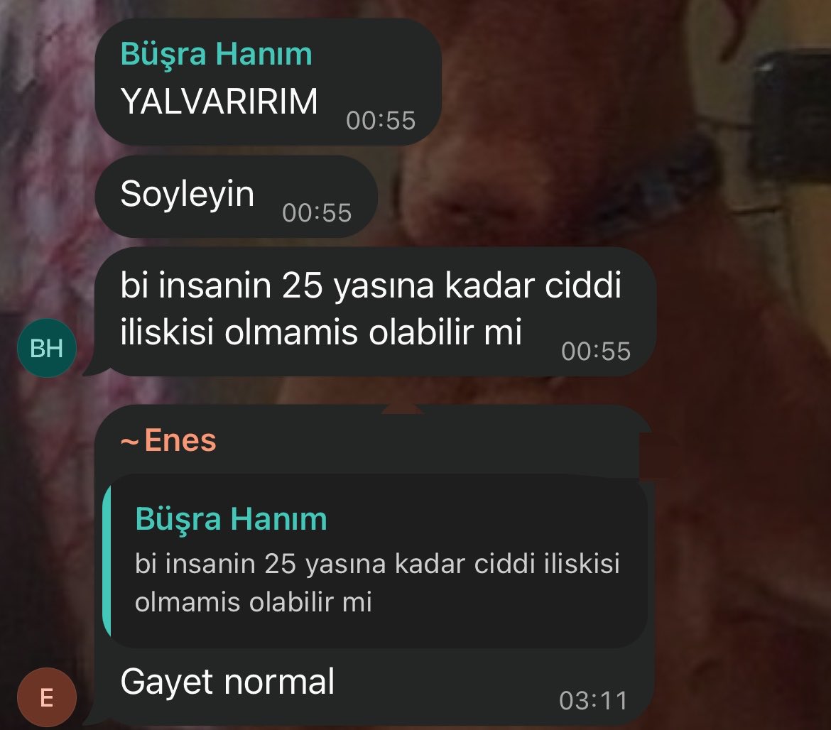 Zezzziy's tweet photo. Yalvarırım söyleyin normali mi https://t.co/JrstcfxUkU