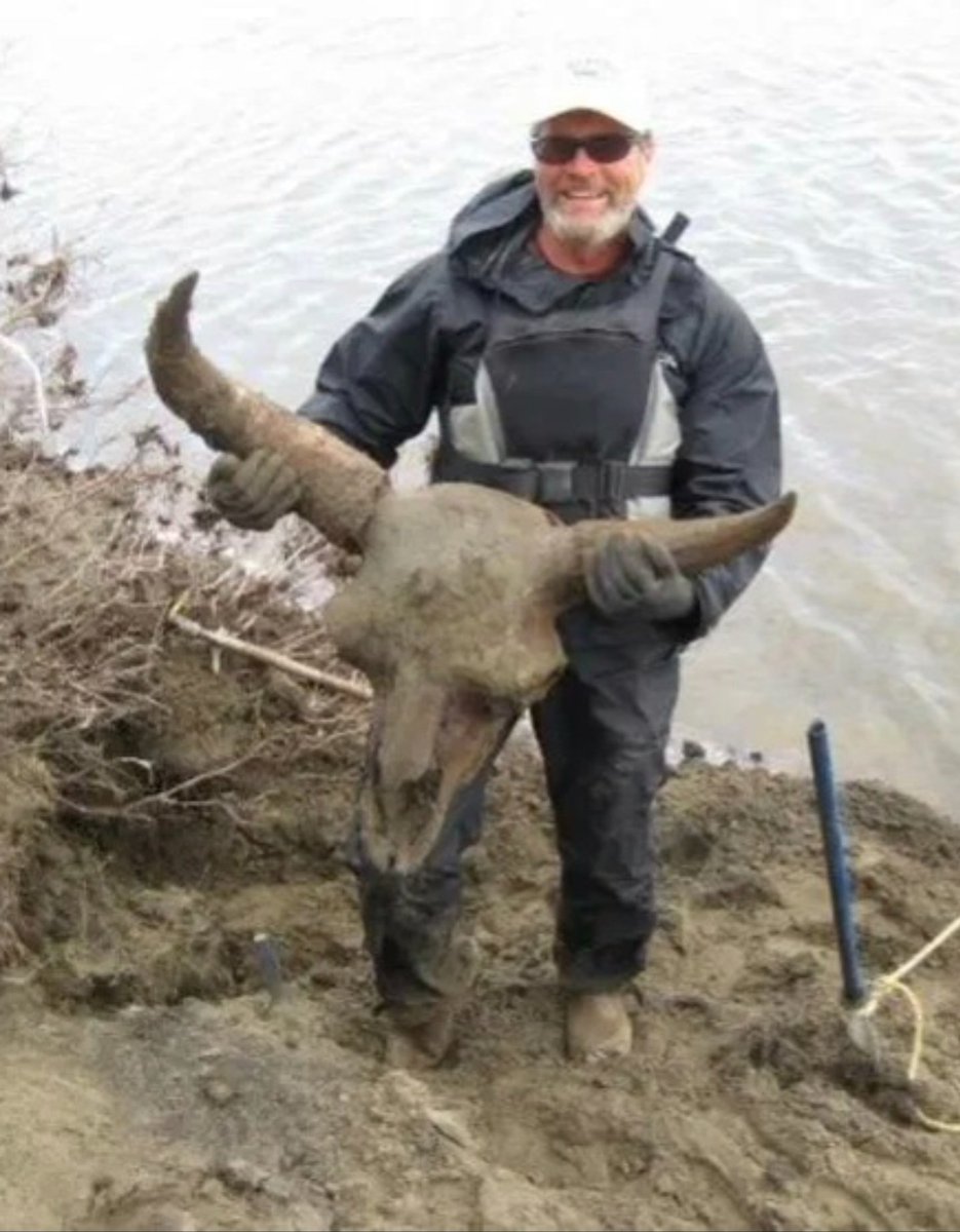 Ancient animals preserved in permafrost for thousands of years

From an ancient puppy found frozen in Siberia to Ice Age bison, permafrost has preserved remarka
