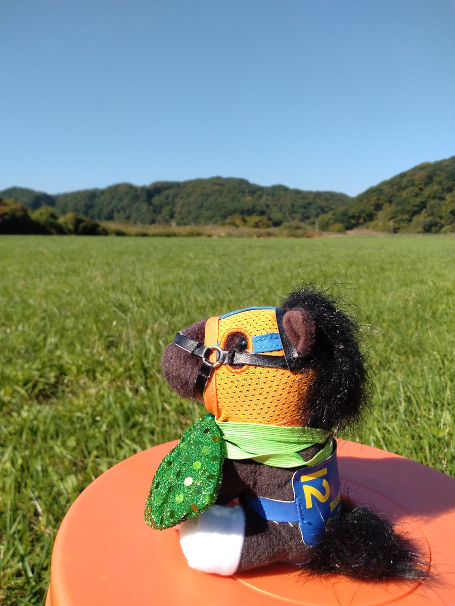 aoringo252555's tweet photo. 9/22今年も会えた！ずっと顔を出してくれていて、眠いのかいつもより優しいお顔でした。17歳。健康第一と産駒の活躍を祈願したお守りを託してきました。SNSに写真動画をアップできなくなってしまったので代わりの写真を今年の思い出に。 https://t.co/UQGu3MxFlj