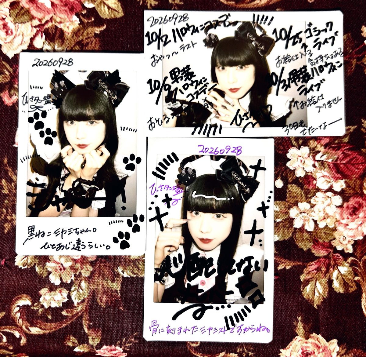 hisaTansio's tweet photo. まとめ🥀 https://t.co/1yNb0vjhTT