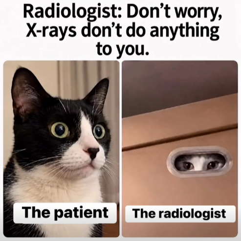StarsNastja's tweet photo. 💀😹 https://t.co/I6XQTjZ5SK