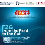 Photo by CNR ICB - Istituto di Chimica Biomolecolare (@CnrIcb)