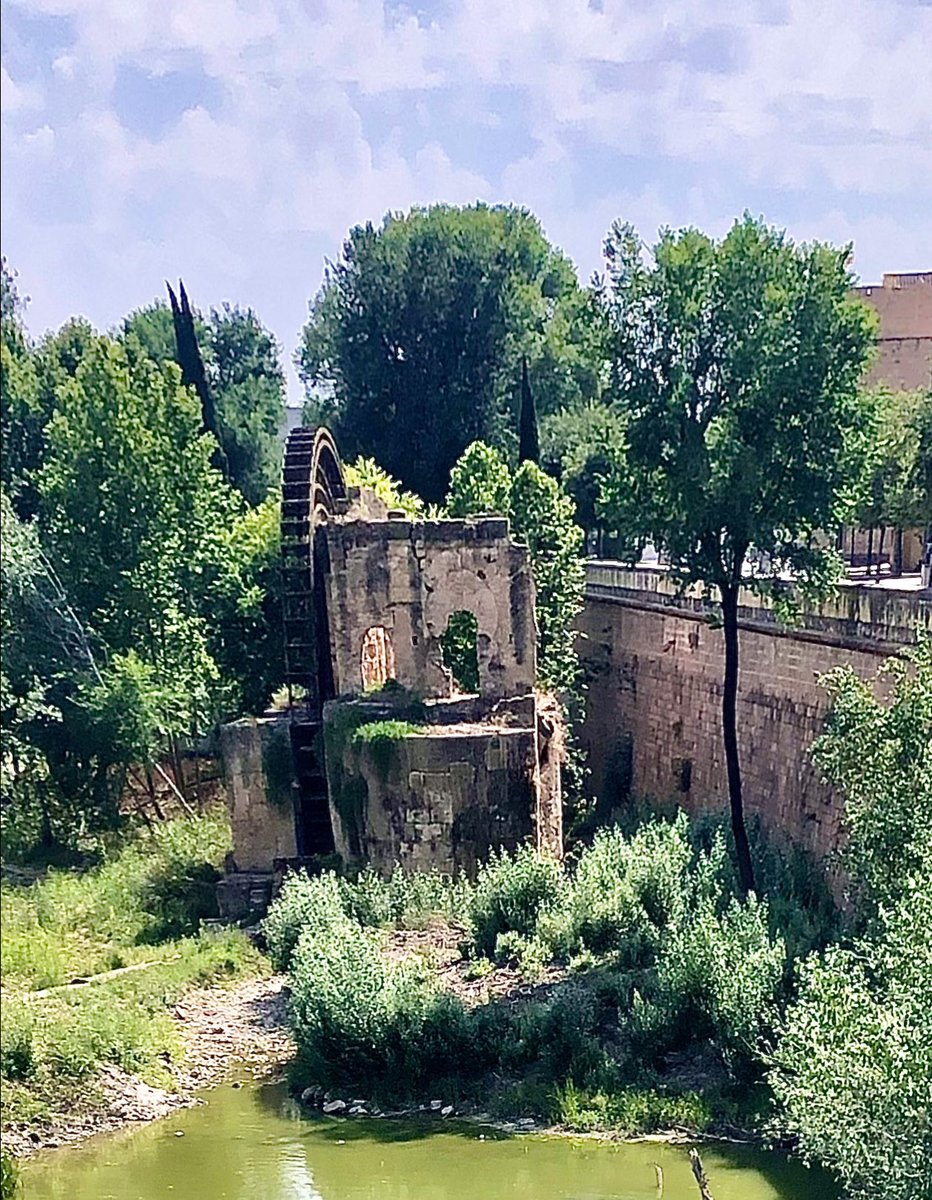 BettyBeaufor's tweet photo. @DailyPicTheme2 #DailyPictureTheme #photography #mypics
Wheel Noria in Córdoba, andalucía https://t.co/zmyPEjBGsi