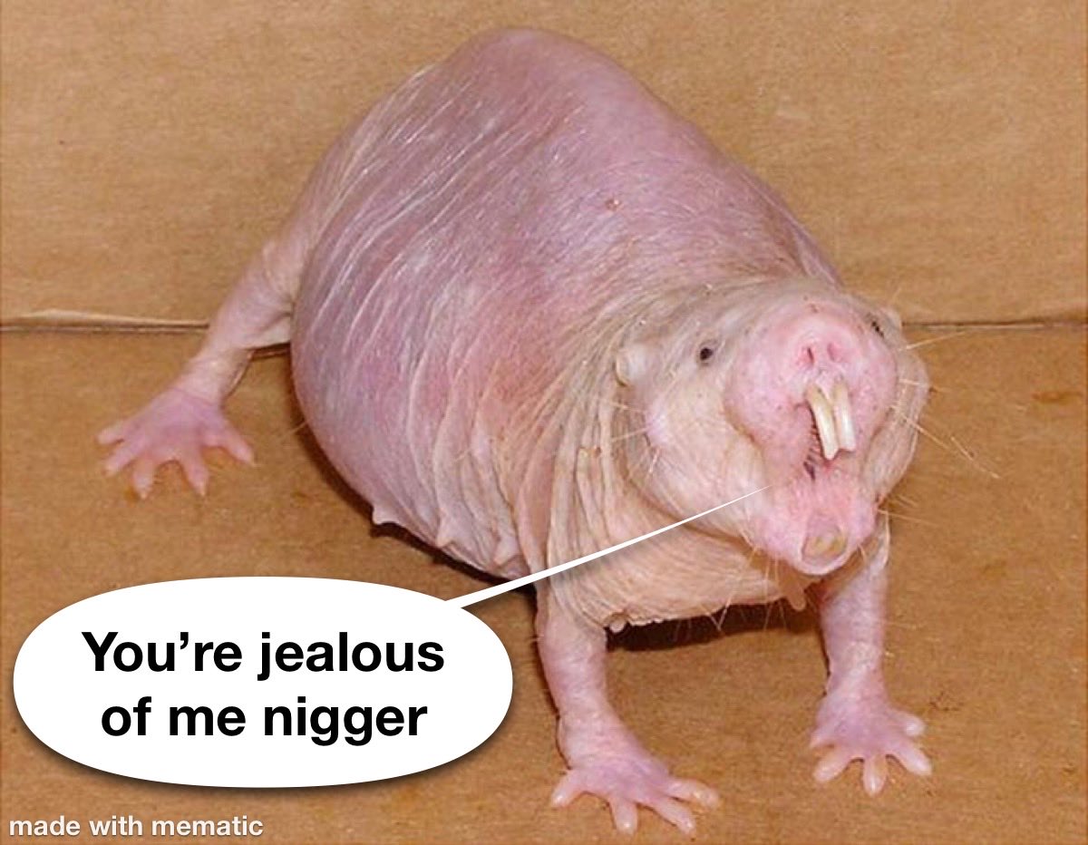 NazisRuglyfags's tweet photo. @HillbillyExec @PlisskenPatriot Why should my vote count the same as a psychopathic ugly mole rat looking mfer? https://t.co/QgTV28UthJ