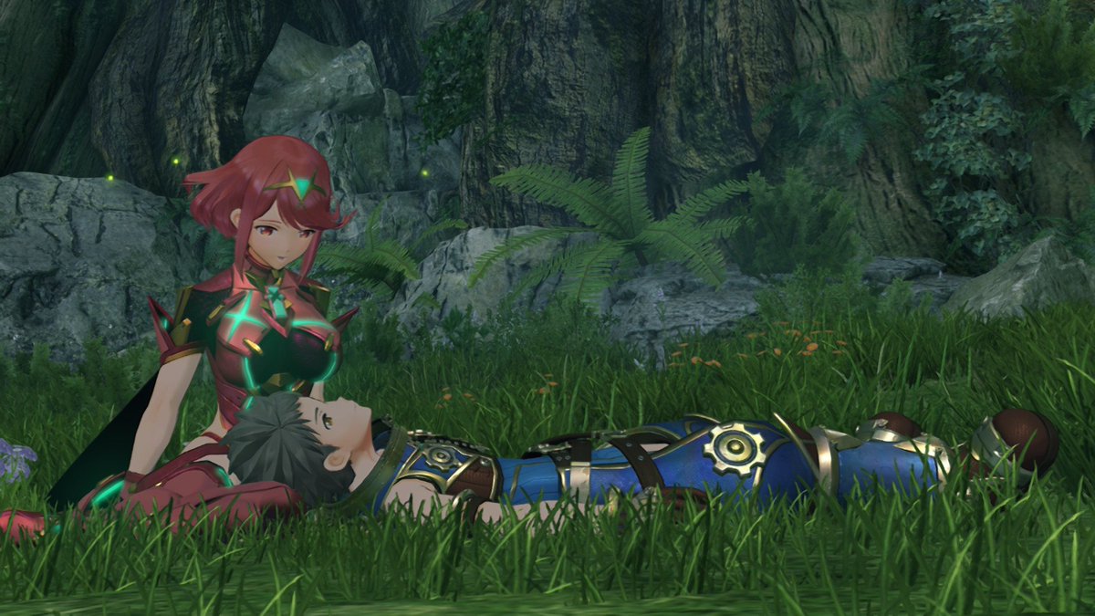 ALW0122ty's tweet photo. #ゼノブレイド２
ニアとレックスの膝枕を見るまで死ねない https://t.co/WqqAlmnWk8