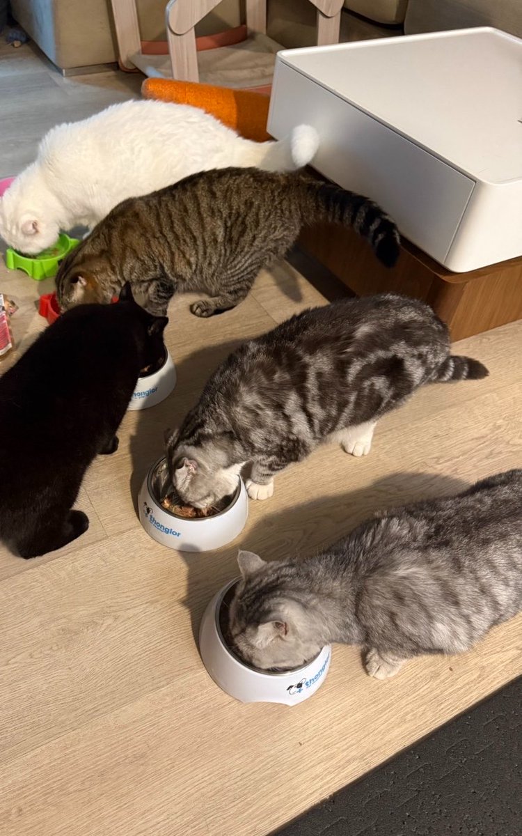 Earth_Pirapat's tweet photo. 6 หน่อ สบายดีครับบบ https://t.co/vwJAZRT3oj