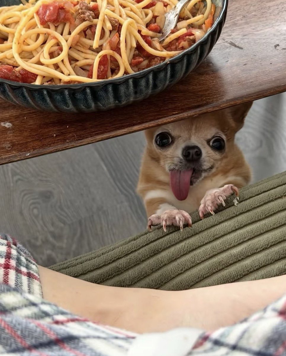 twaniimals's tweet photo. https://t.co/vQWZHtPq0z