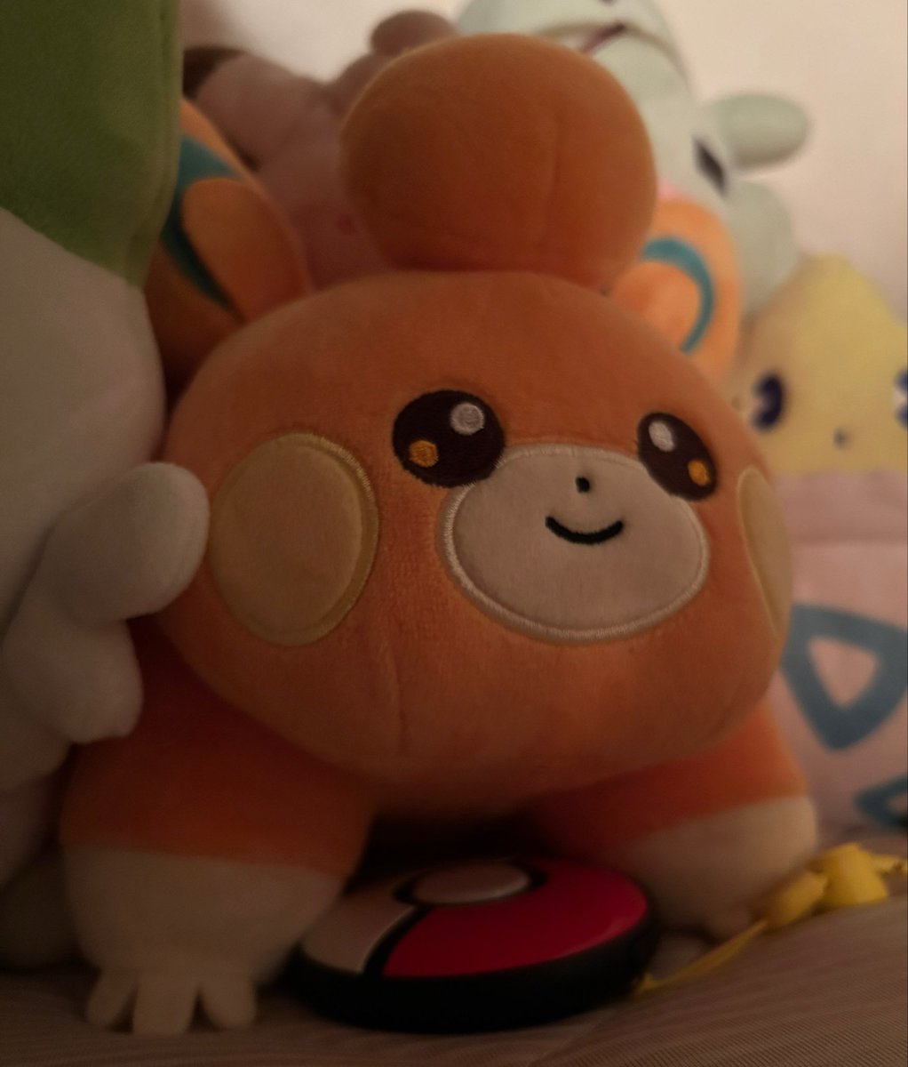 __8ninshow__'s tweet photo. うちのパモちゃんは、この愛らしいお顔で毎日ピカチュウを寝かしつけてくれています🫶 https://t.co/z2nfYIq3qW