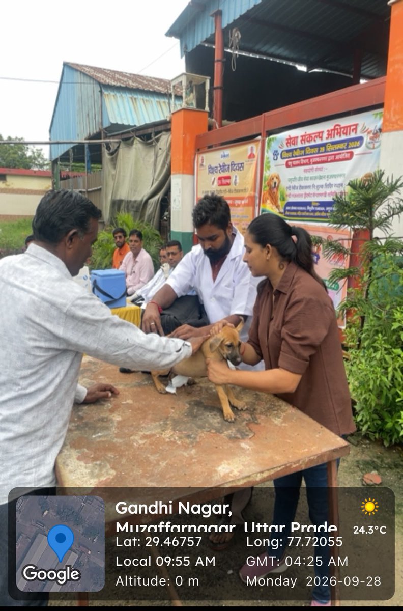 MuzaffarnagarDm's tweet photo. विश्व रेबीज दिवस और 'सेवा संकल्प अभियान' के तहत पशुपालन विभाग द्वारा मंडी समिति परिसर में एंटी रेबीज टीकाकरण शिविर का आयोजन किया गया। 🐕💉

शिविर में 70 से अधिक पालतू व निराश्रित पशुओं का टीकाकरण किया गया। रेबीज से बचाव के लिए पालतू पशुओं का समय पर टीकाकरण जरूर कराएं। https://t.co/TWOH5nXN84